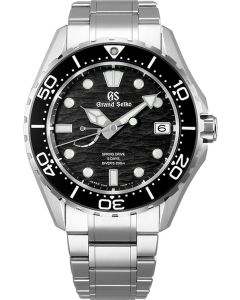 Grand Seiko Evolution 9