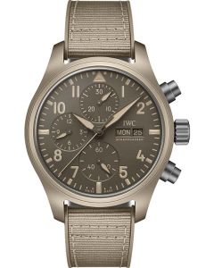IWC Pilot's Watches