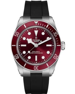 Tudor Black Bay