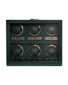 British Racing 6 Piece Watch Winder